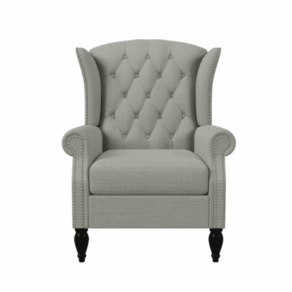 Apex Grove Crawley Diamond Button-Tufted Wingback Chair